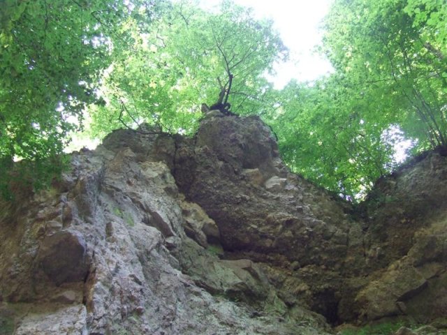 DSCF0147 (Medium)